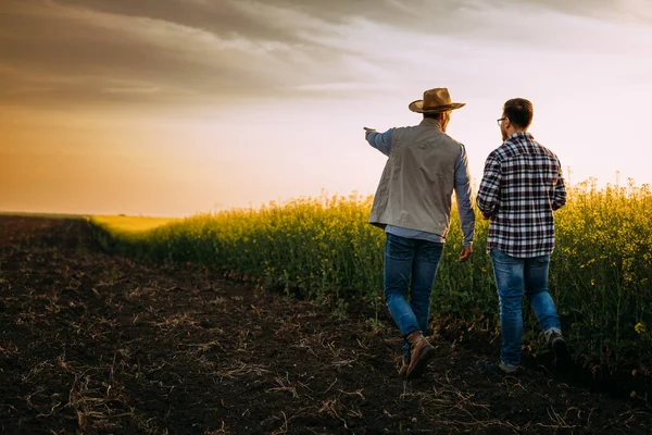 Dva Farmáři Kráčejí Farmě Při Západu Slunce Mluví — Stock fotografie