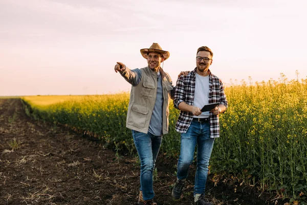 Két Boldog Farmer Mutat Valamit Mezőn — Stock Fotó