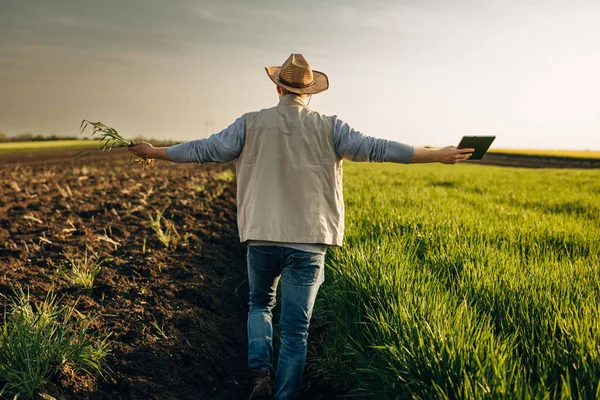 Farmář Užívá Procházku Korytem Své Zemědělské Půdy — Stock fotografie