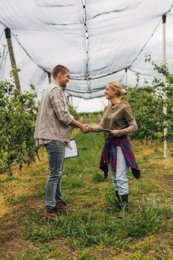 Bir kadın meyve çiftliğinde bir adamla tokalaşıyor..