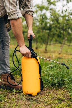 Bir çiftçi bahçesindeki ottan kurtulmak için ot ilacı kullanıyor..