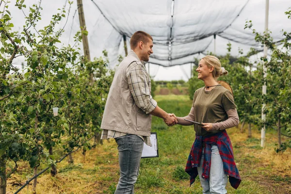 stock image A man and a woman shaking hand in an orchard.