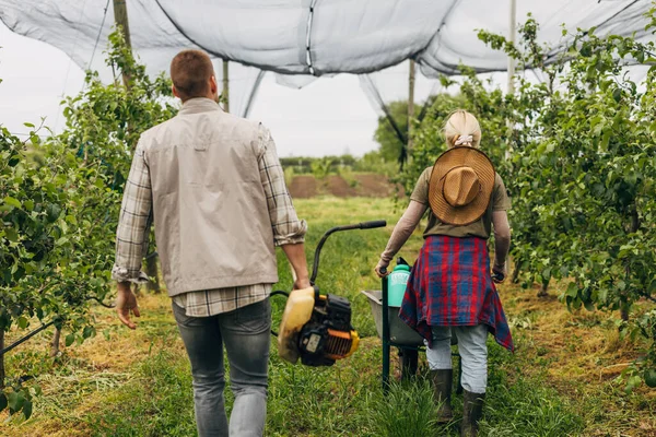 stock image Back view of a man and a woman working in the orchard and carrying their equipment.