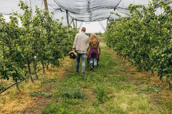 stock image A man and a woman walking trough tree lines in the orchard in countryside.