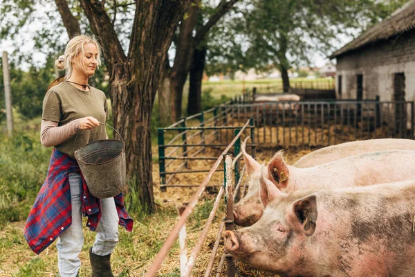 金髪の若い女が農場で豚を養ってる — ストック写真