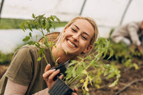 Closeup photo of a smiling young woman holding tomato seedlings next to her face. Working in a greenhouse.