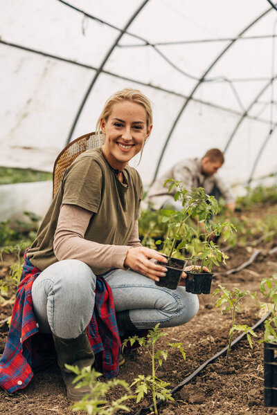 A woman in the greenhouse holding tomato seedlings.