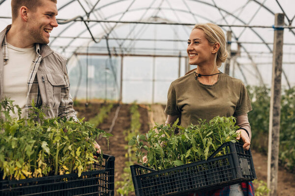 Closeup view of a man and a woman carrying crates full of seedlings.