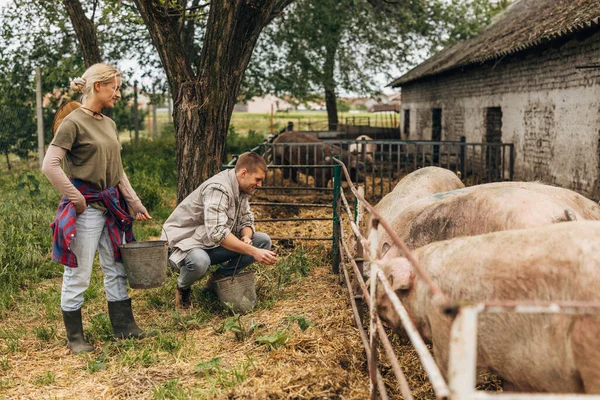 Stock image A man and a woman live a domestic life at the farm.