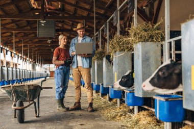 Beyaz adam ve kadın ahırda istatistik tutuyorlar..