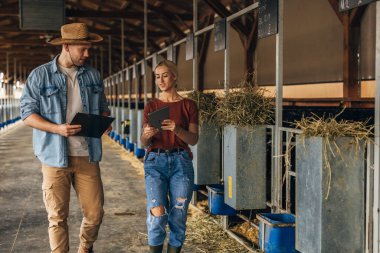 Beyaz bir kadın ve bir erkek hayvan çiftliğinde çalışıyor..