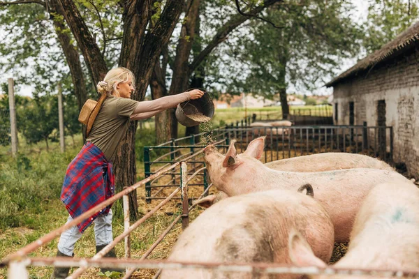 Jeune Femme Nourrissant Des Porcs Grains Entiers — Photo