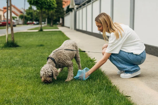 A responsible woman picks up dog waste on the grass