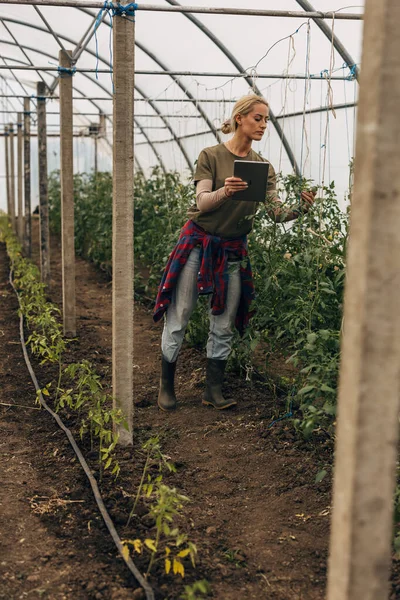 Woman using digital tablet in a vegetable garden.