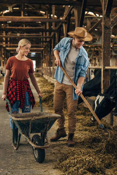 Front view of a man using a hay fork to clean the stable and a woman holding a cart for residue.