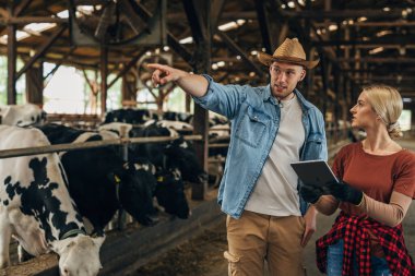 Kovboy ve kovboy kız tabletle ahırda çalışıyorlar.