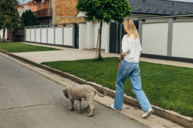 Sarışın bir kadının tasmayla köpeği gezdirmesi..