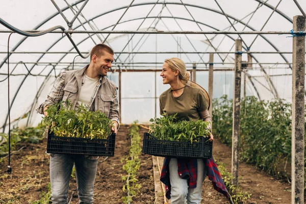 stock image Two young people enjoy working together in the greenhouse.