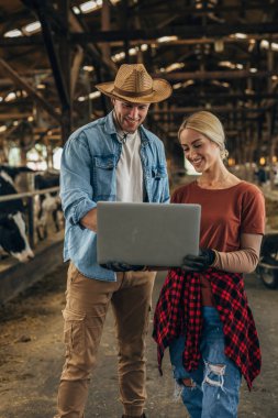 İki genç bir ahırda çalışıyor ve istatistik olarak bir dizüstü bilgisayar kullanıyorlar..