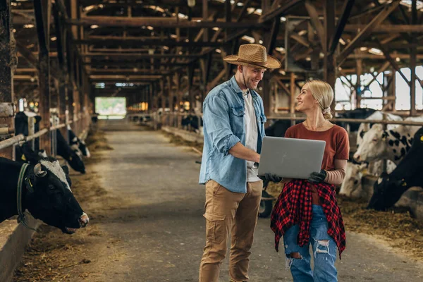 stock image Female and male farmer use laptop in a stable for results.