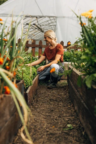 Vista Lateral Una Mujer Satisfecha Trabajando Jardín Ecológico —  Fotos de Stock