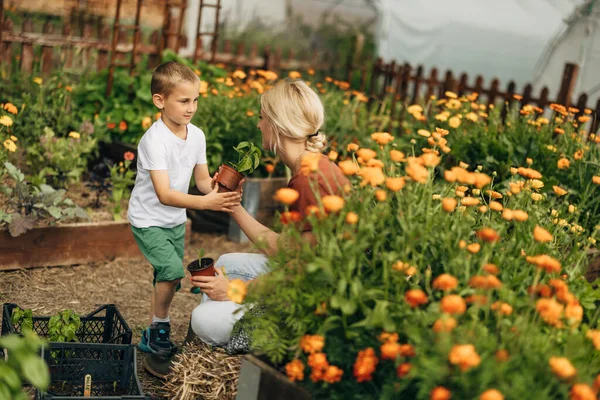 Roztomilý Kavkazský Chlapec Pomáhá Své Matce Výsadbou Zahradě — Stock fotografie