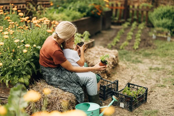 Vista Trasera Una Mujer Sentada Jardín Con Hijo —  Fotos de Stock