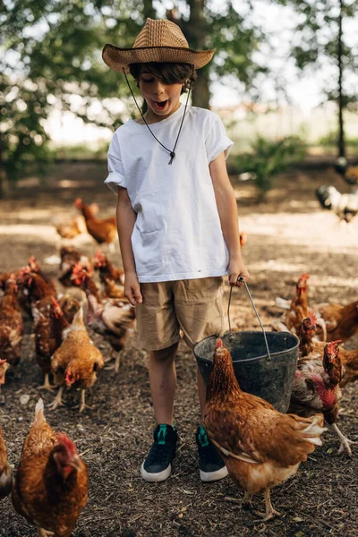 Boy Excited Feed Chickens — Stock Photo, Image