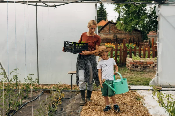 Little Boy His Mother Work Together Greenhouse — Stock Photo, Image