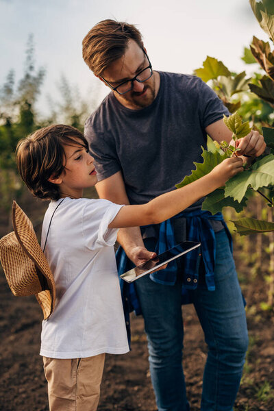 Father and son looking at the outgrowth on a tree.