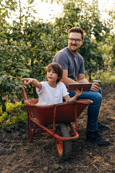 Beyaz Adam Oğlu Meyve Bahçesinde Oynuyorlar — Stok fotoğraf
