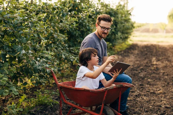 stock image Young boy sits in a cart and uses digital tablet in the orchard with his father next to him.