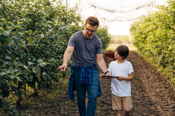Front view of a man teaching his son about apple ripening.