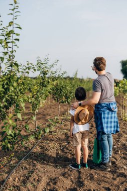 Baba ve oğulun meyve bahçesinde dikilirken mesafeye bakışları..