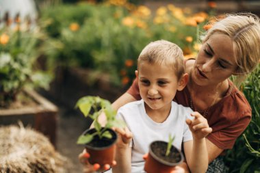 Anne oğluna bitki yetiştirmeyi öğretiyor..