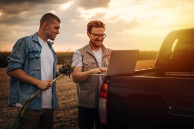 Gün batımında tarlada birlikte çalışan iki beyaz adam..