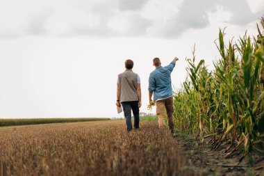 Tarlalarda yürüyen iki adamın arka görüntüsü.