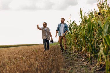 Tarlada birlikte yürüyen iki adamın ön görüntüsü..