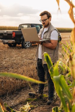 Agronomist sahada dizüstü bilgisayar kullanıyor..