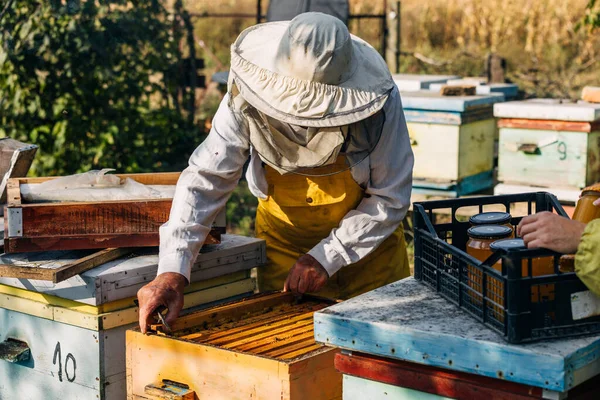 Arı Yetiştiricisi Arı Kovanından Bir Çerçeve Çıkarıyor Stok Fotoğraf