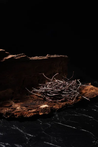 Gniazdo Cienkich Drewnianych Mew Leży Części Kory Dużego Drzewa Czarne — Zdjęcie stockowe