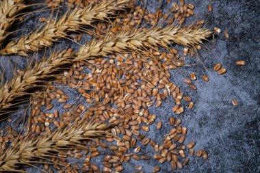 Buğday kulakları ve tahıllar, un üretmek için malzemeler.