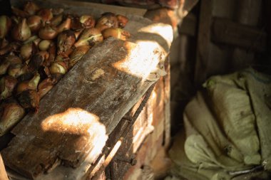 Eski tuğla fırınında hasat edilen soğan hasadı yatıyor.