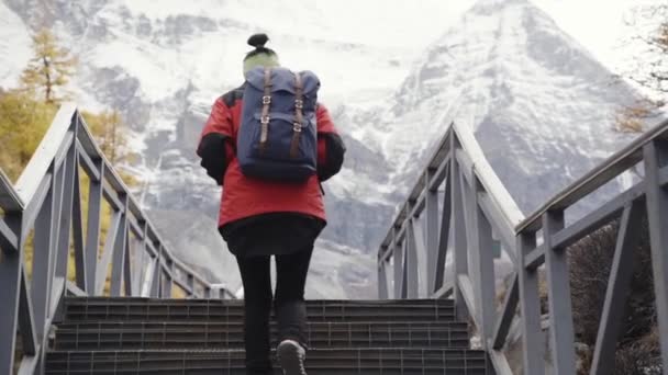 Asian Female Tourist Backpacker Hiker Ascending Steps Leading Peak Snow — Stock Video