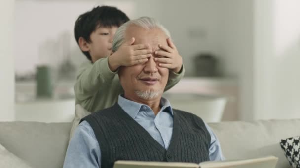 可愛いアジア系の男の子と一緒に家でおじいちゃんと遊ぶ — ストック動画