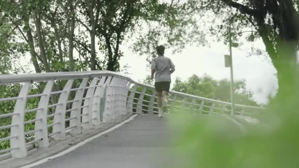 Bakifrån Ung Asiatisk Man Jogging Kör Utomhus Parken — Stockvideo