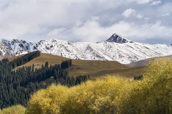 中国新疆の川 秋の茂み 雪山の美しい風景 — ストック写真