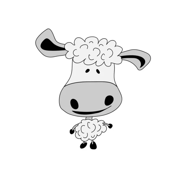 Смішні Вівці Білому Тлі — стокове фото