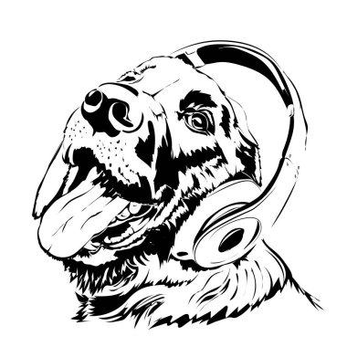 cute dog wearing headphones