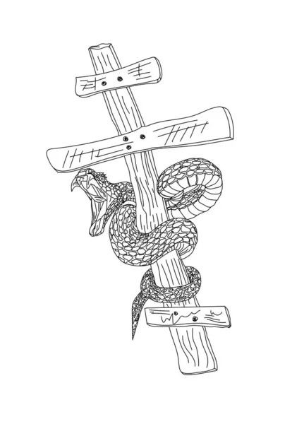 Eine Schlange Das Kreuz — Stockfoto
